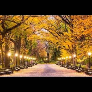 Meet your Posher, Suzanne